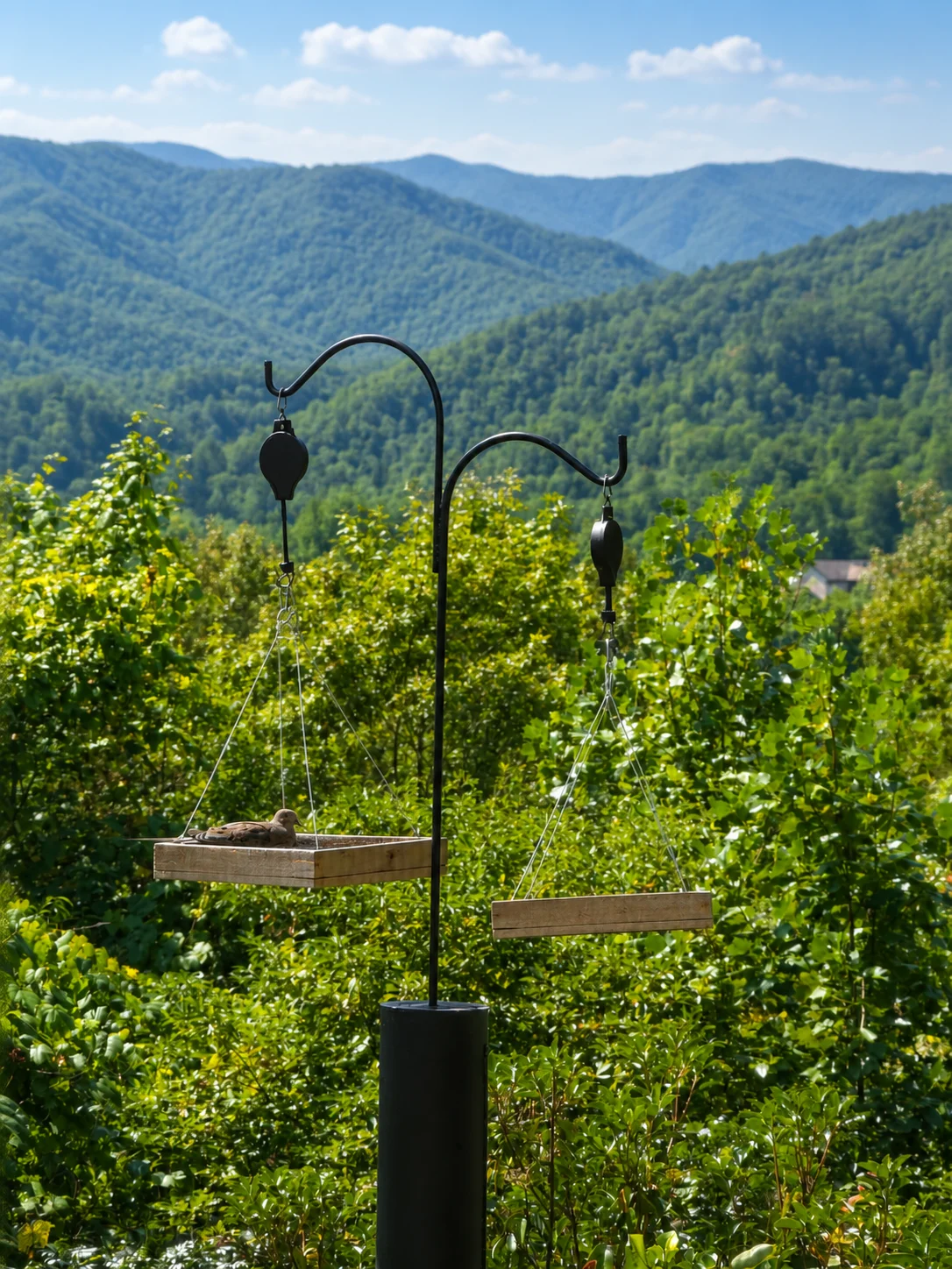 Handcrafted Cedar Hanging Platform Feeder – 12×12 in (Black Oil Sunflower Seed Tray) product image (3)