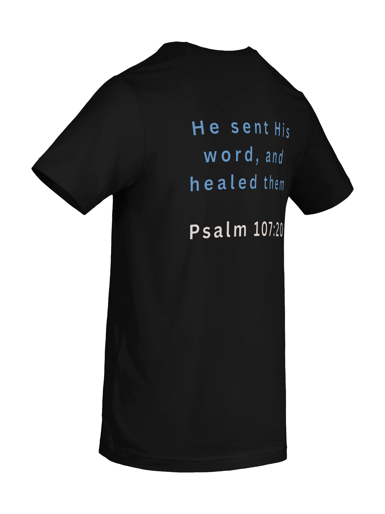 LionHeart FM Radio Tee product image (33)