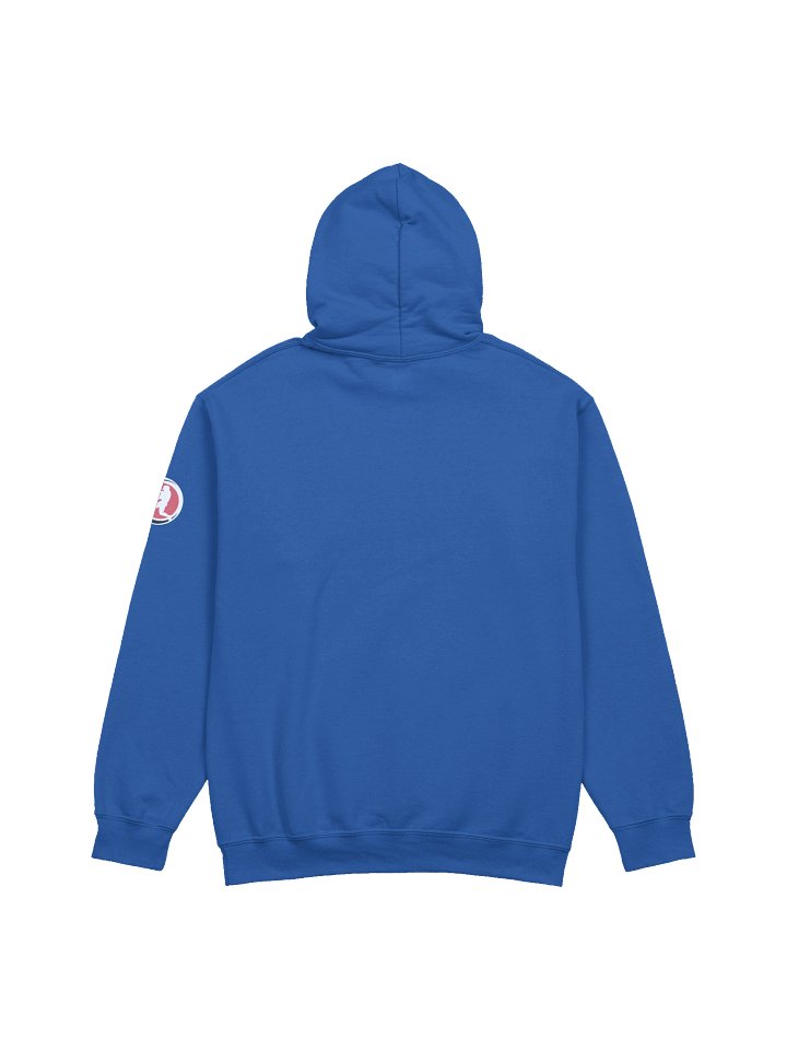 Guelph Ballpark Hoodie product image (4)