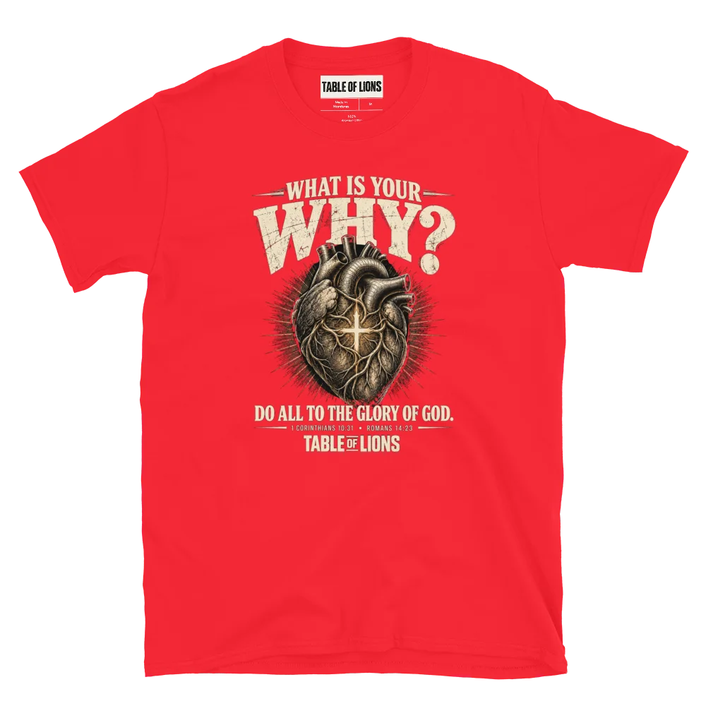 What Is Your Why? Christian T-Shirt | Do All for the Glory of God | Faith-Based Graphic Tee product image (41)