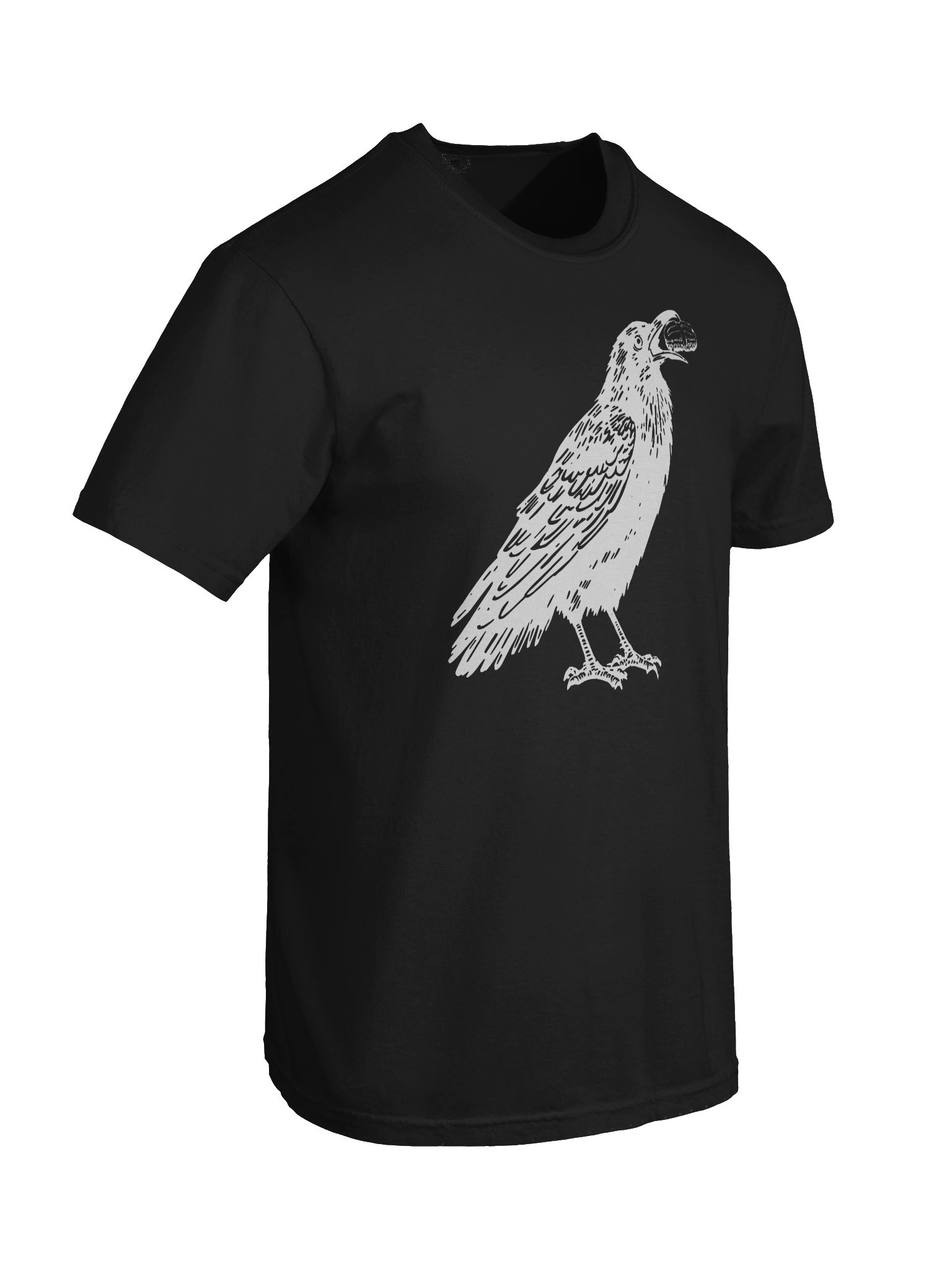 ELIJAH'S RAVEN product image (8)