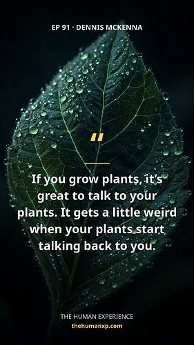 Your plants might be talking back to you. 🌱

Dr. Dennis McKenna on Episode 91 of The Human Experience — A Drink With Dr. Denn...