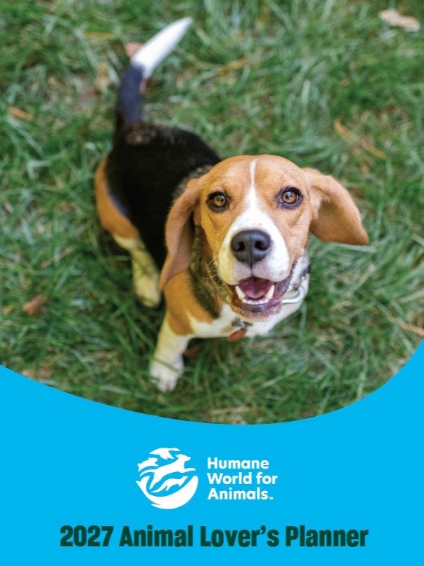 2027 Animal Lover's Planner product image (1)