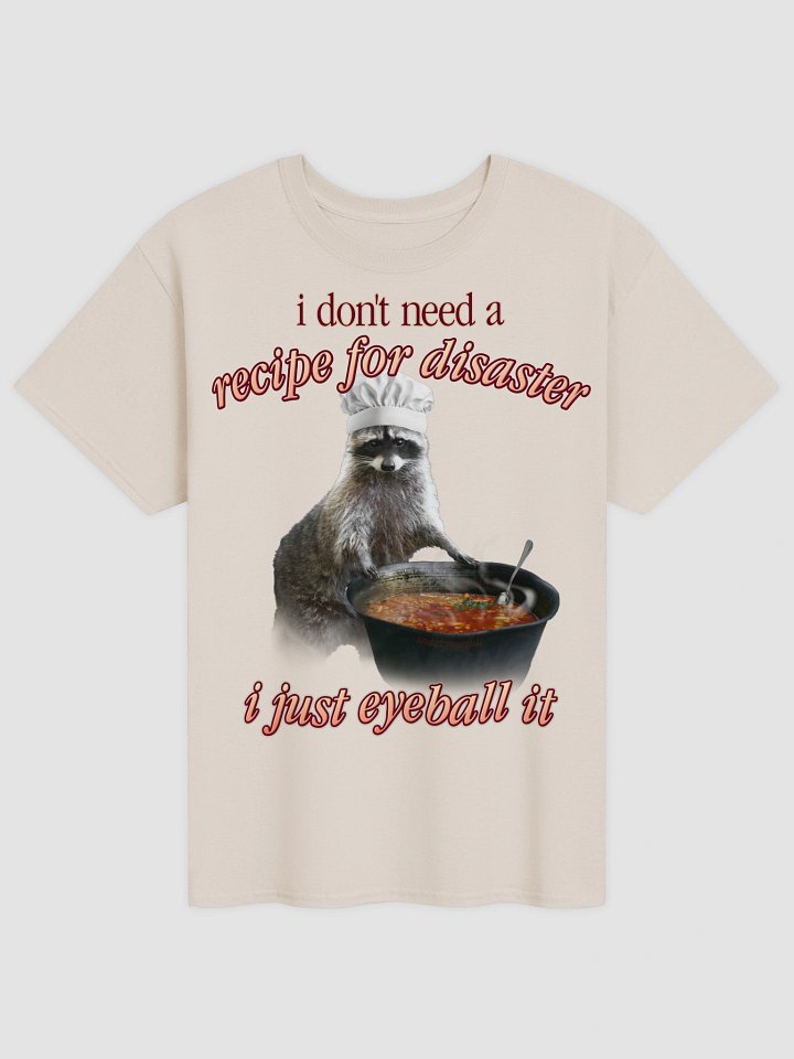 Recipe for Disaster Raccoon T-shirt product image (2)