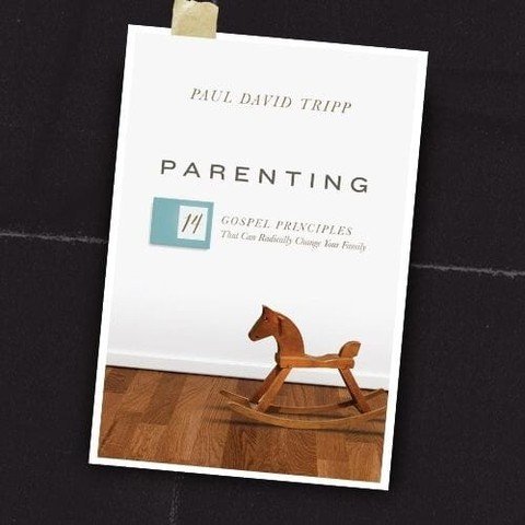 Single Parents have a tough but essential job. Parenting alone can be challenging. Paul Tripp has written a helpful book for ...