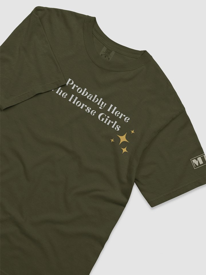 You're Probably Here For The Horse Girls Embroidered Tee product image (2)