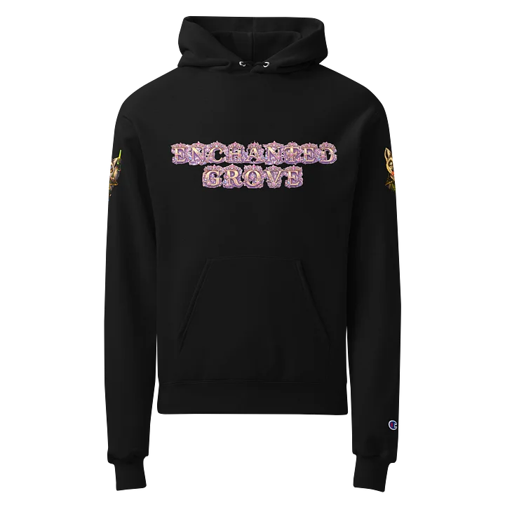 Kingdom Treasurer Champion Hoodie product image (1)