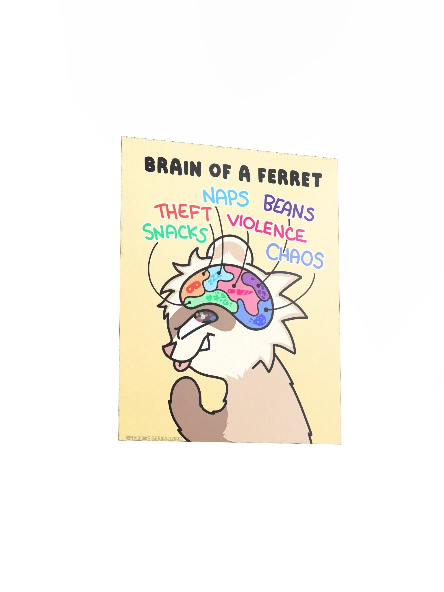 Ferret Brain | Poster product image (5)