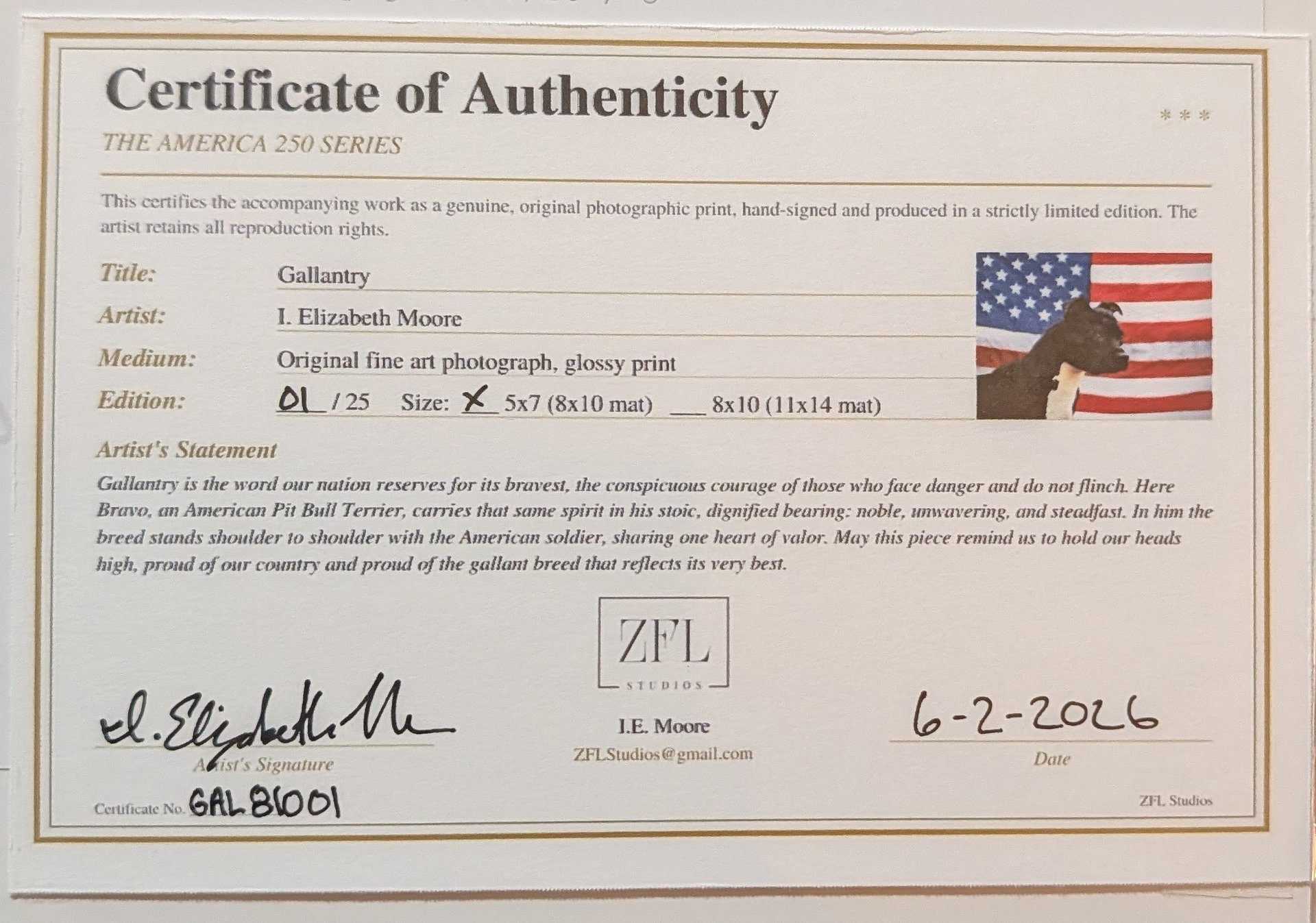 Gallantry Limited Edition Print – American Pit Bull Terrier USA Flag (Signed 5x7 matted 8x10) product image (3)