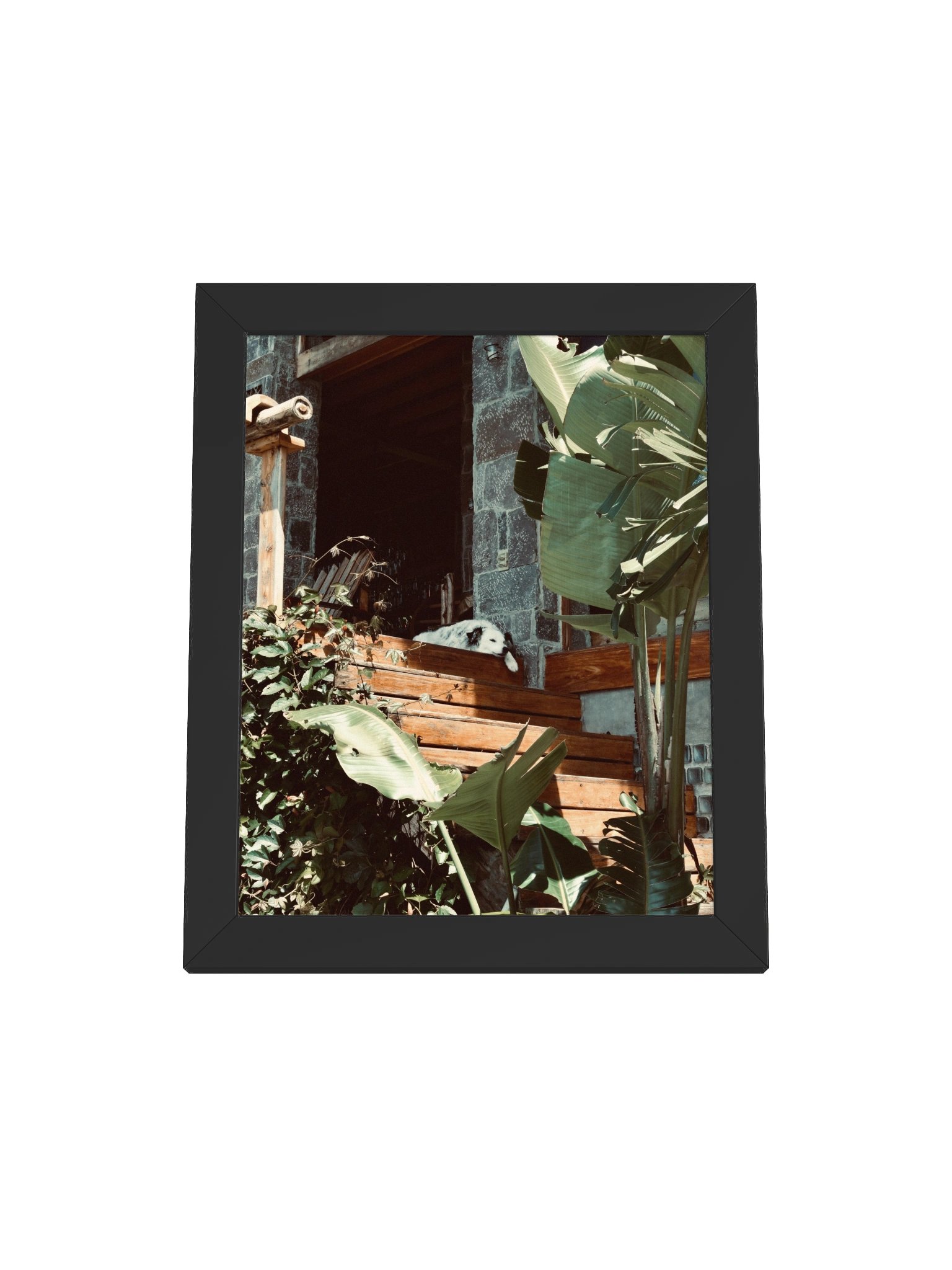 Atitlan Dog product image (1)