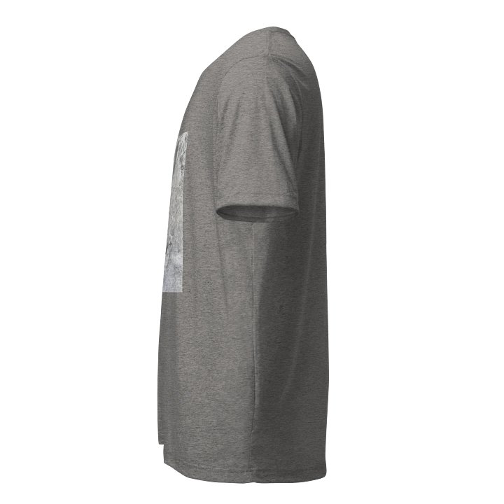 Lion front - gray product image (2)