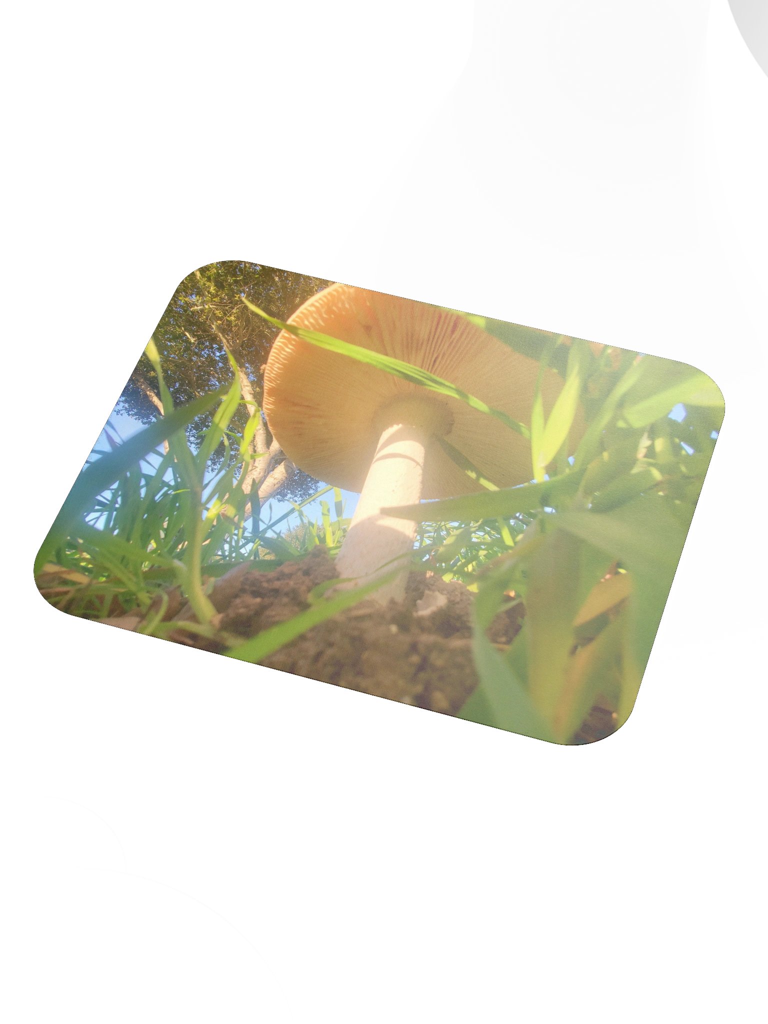 Sunlit Mushroom Mouse Pad product image (3)