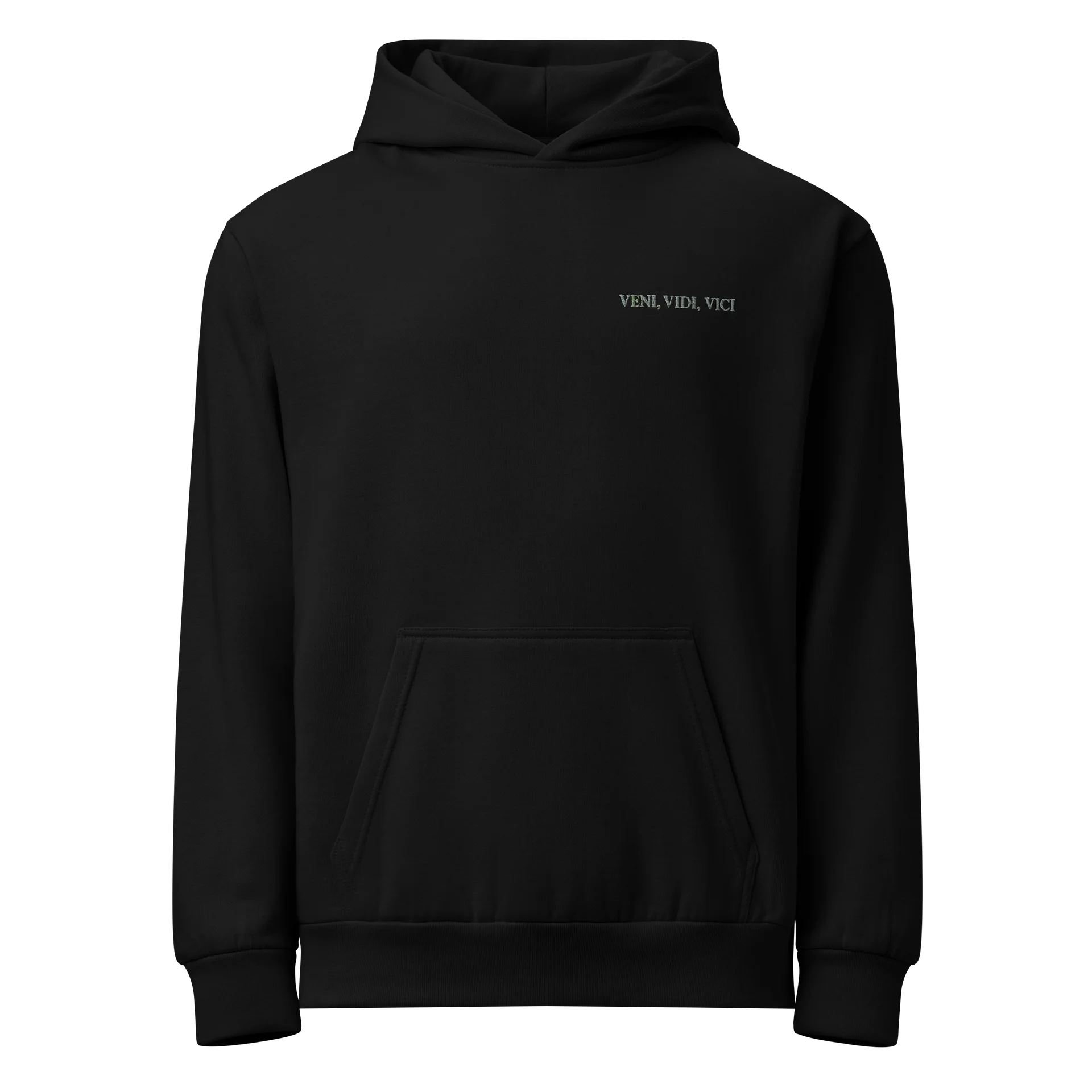 Veni, Vidi, Vici hoodie product image (1)