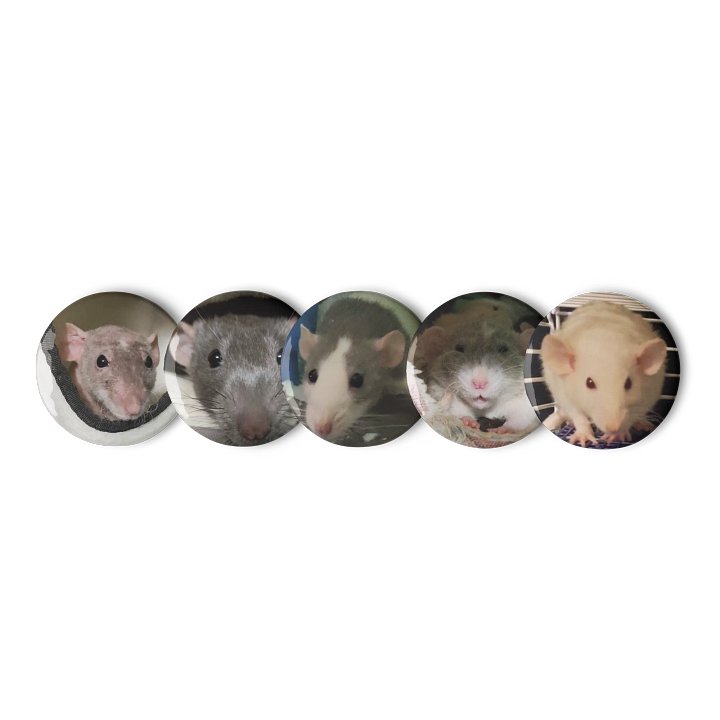 Rat Pictures 2 || Set of Pin Buttons product image (1)