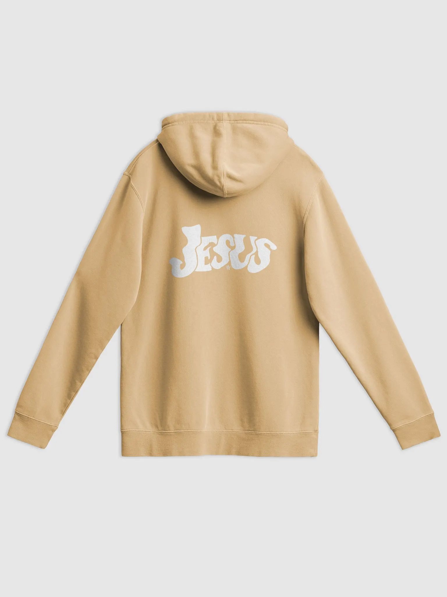AAN Premium Cozy Hoodie product image (3)