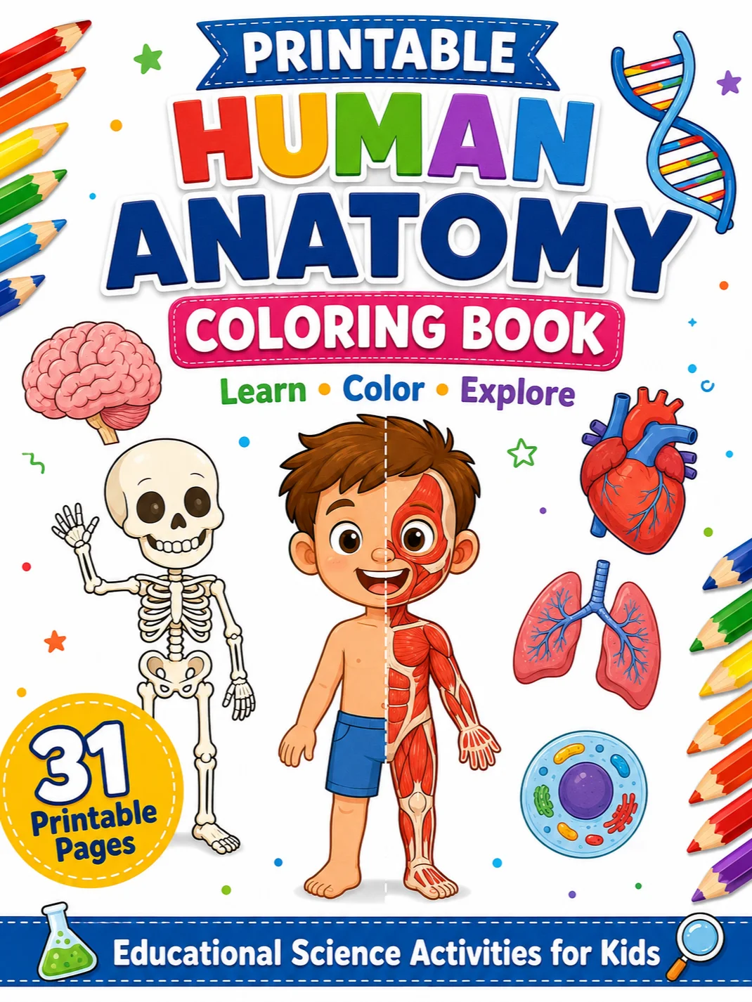 Printable Human Anatomy Coloring Book (PDF) product image (1)