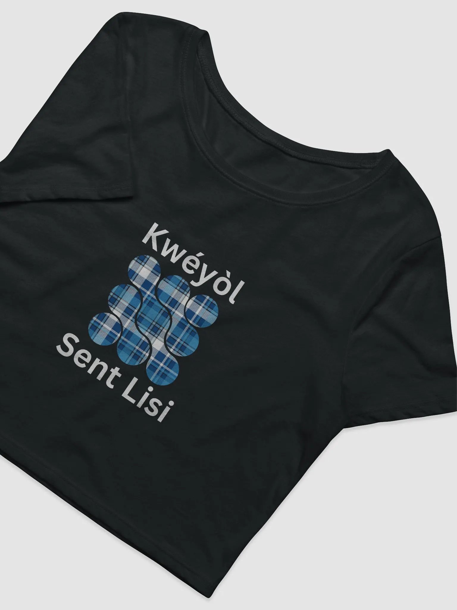 Madras Perfection Crop Tee product image (4)