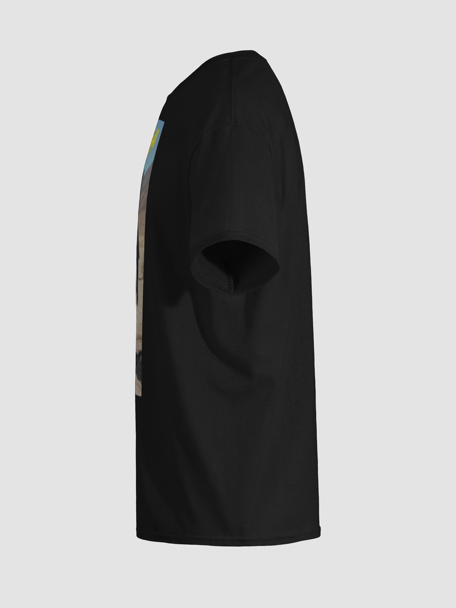 Hey! It's that Stupid Cat! product image (4)