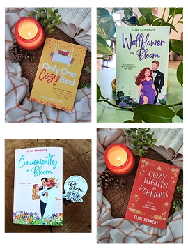 Fake Relationship Paperback Bundle