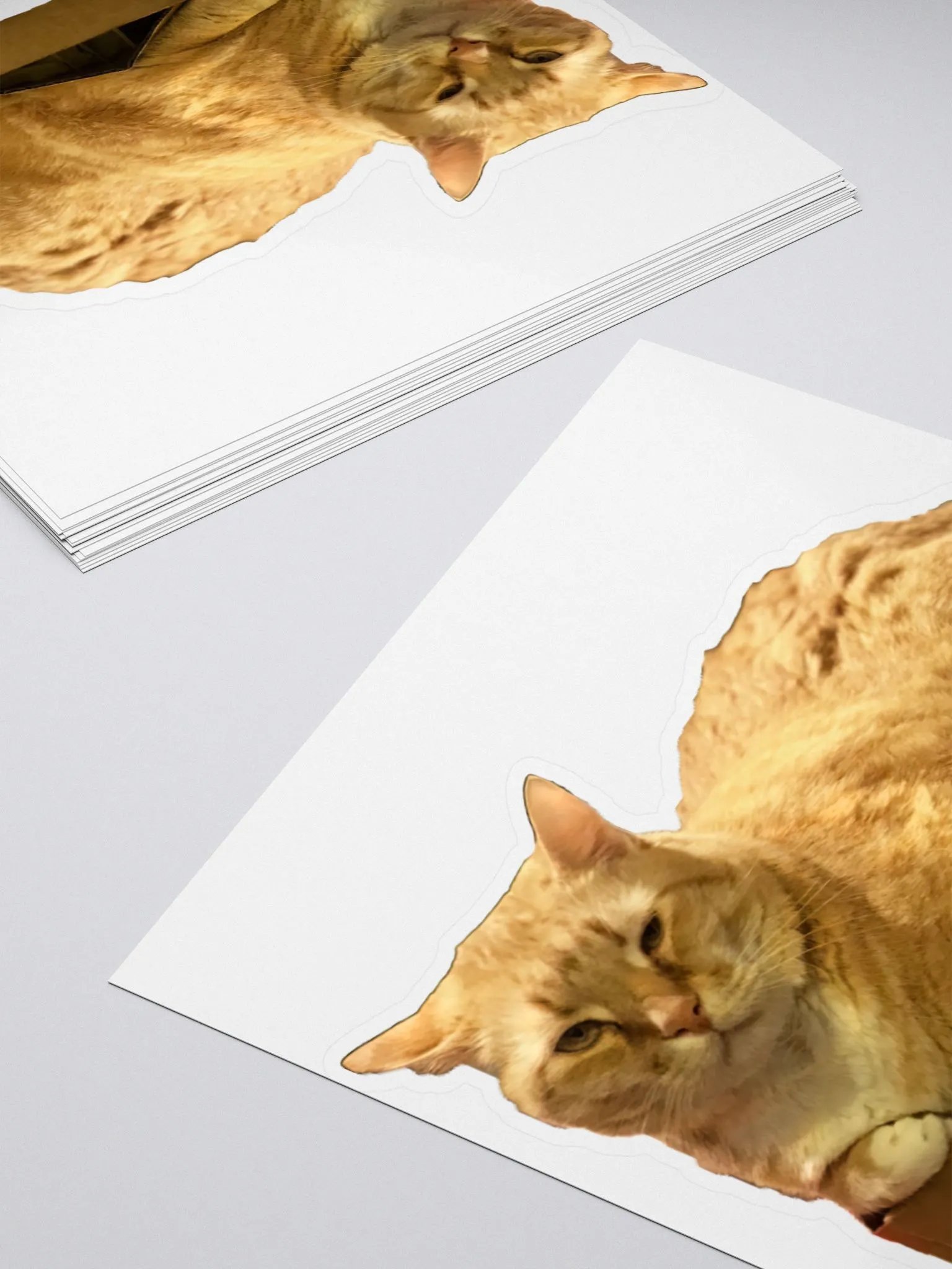 Colby in a box product image (4)