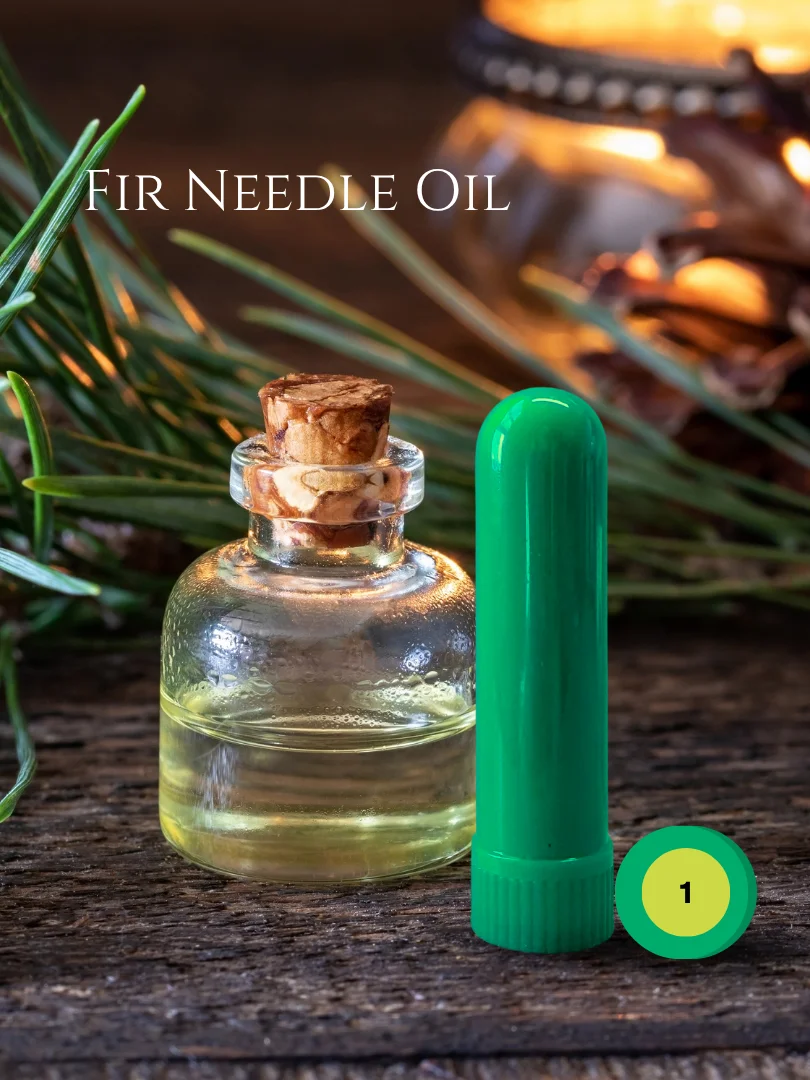 Olfaria Pine Odor Training Kit | 5 Single-Note Essential Oils | Scent Education | Train Your Nose product image (2)