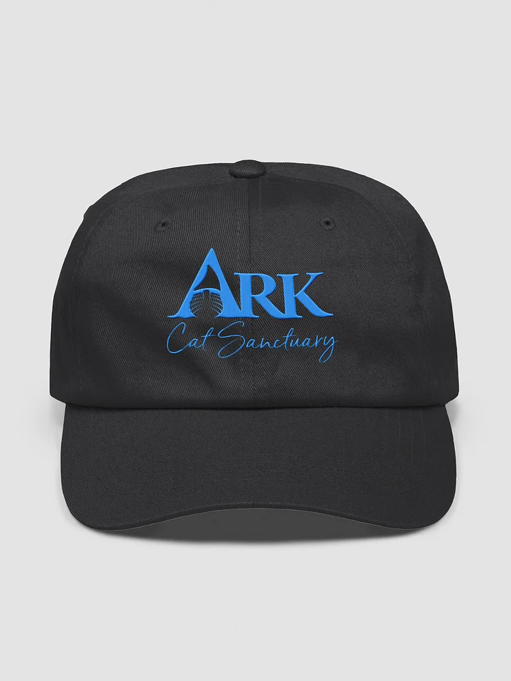Ark Embroidered Hat - Black or White product image (2)