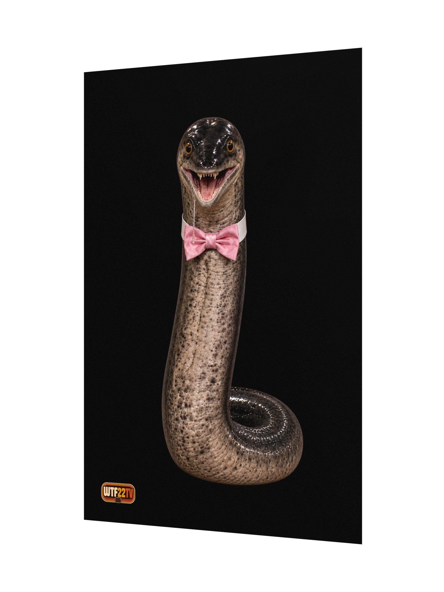 Official_The Eel_Poster ™ product image (3)