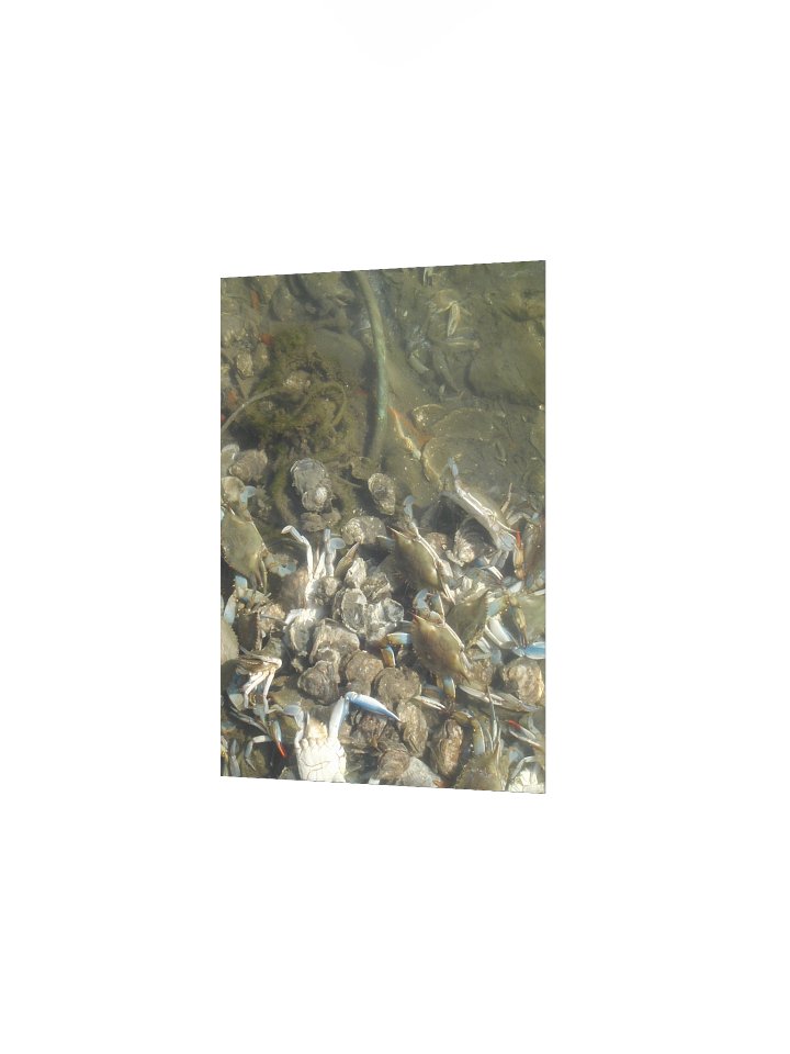 Crab Colony Underwater Matte Poster product image (2)