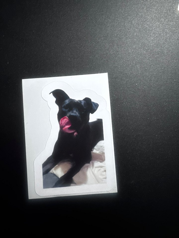Ruby sticker product image (1)