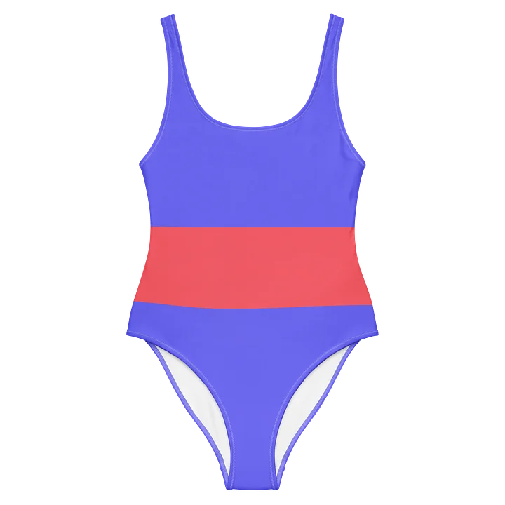 One Piece Bathing Suit "Mournful Blueberry and Melanchally Rasberry [GRIMMY PAUP]" product image (2)