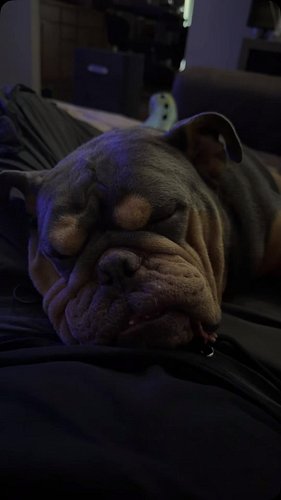 Hope everyone stayed safe during the hurricane. We just watched Abott & Costello Universal Monster Movies and slept. #sxemons...