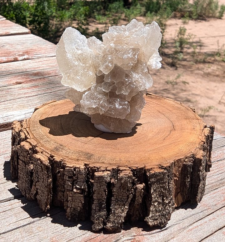 Selenite Crystal Cluster on Mesquite Wood Base product image (1)
