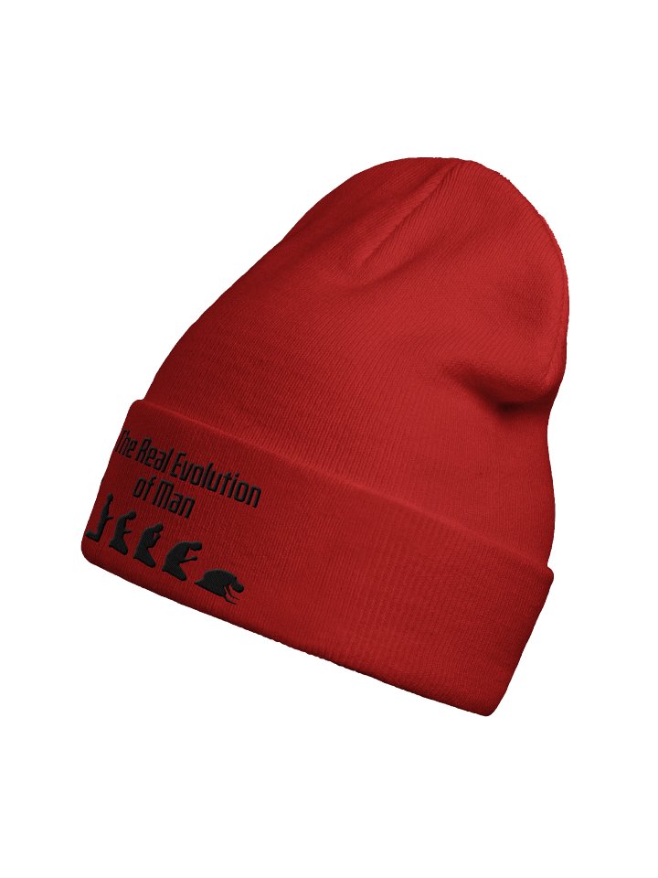 The Real Evolution of Man, Beanie product image (2)