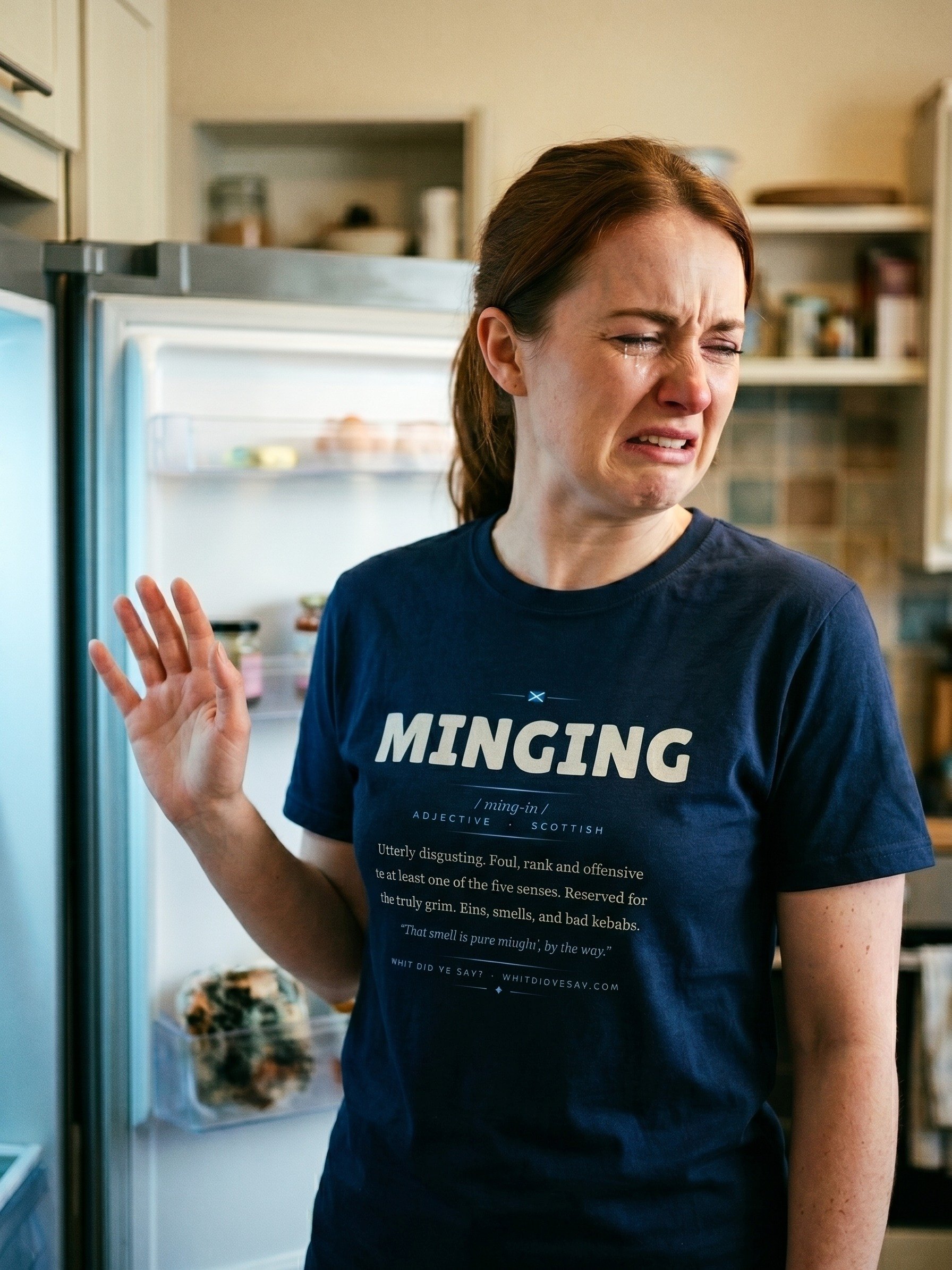 MINGING — The Dictionary Definition Tee product image (1)