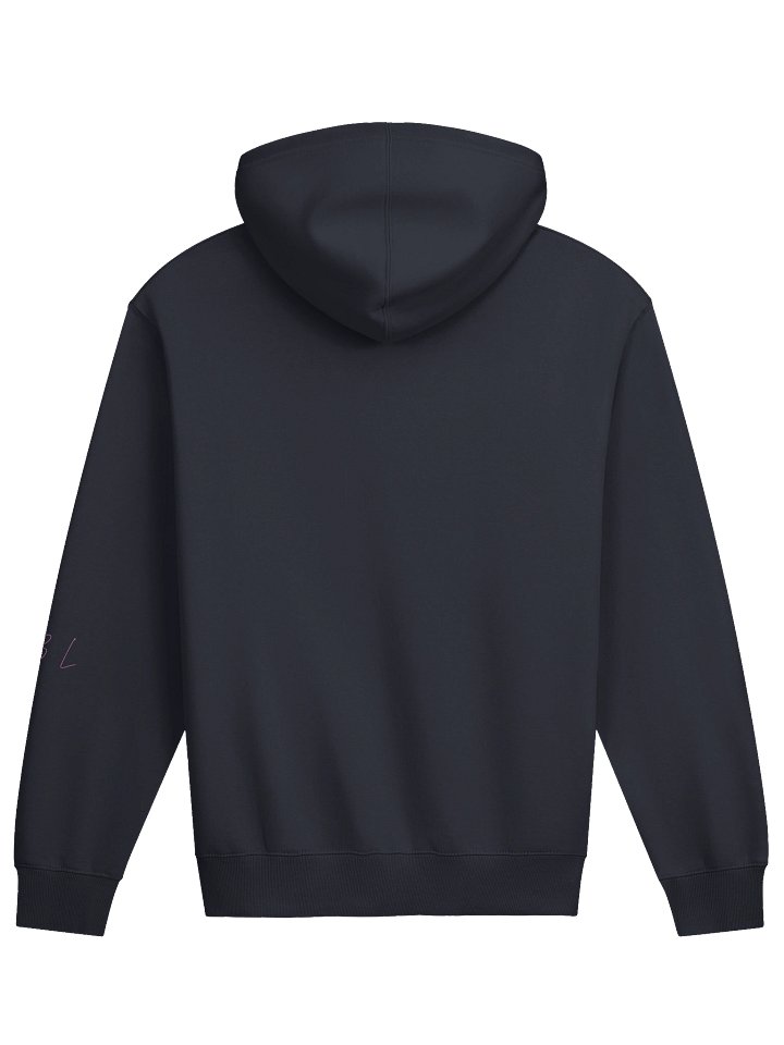 The Blueprint Unveiled: Drop 1.5 Hoodie product image (10)