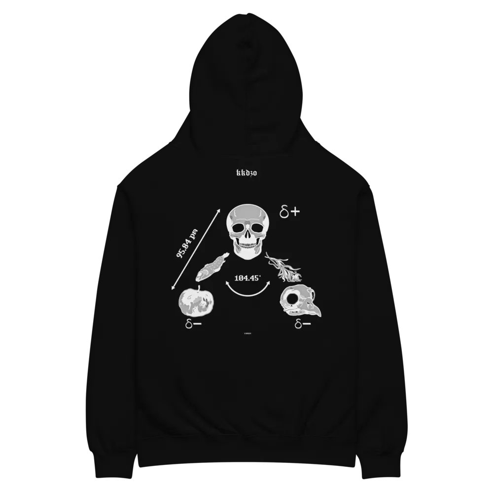 Saga Hydropolitique ( Black Edition ) product image (11)