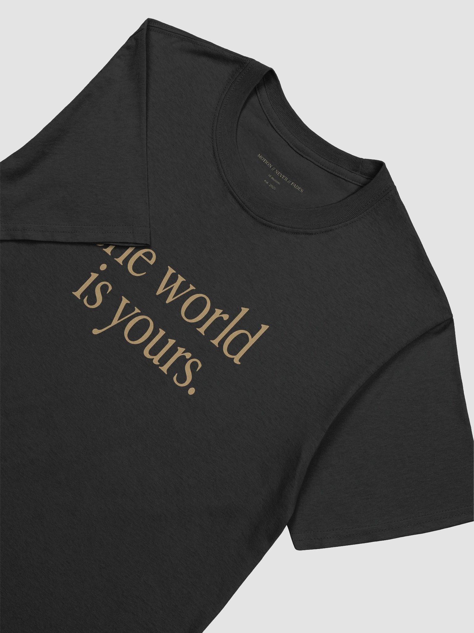 The World. product image (7)
