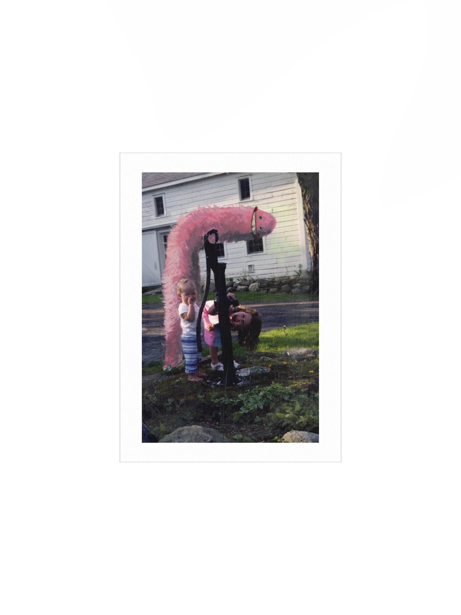 Pink Peeper product image (4)