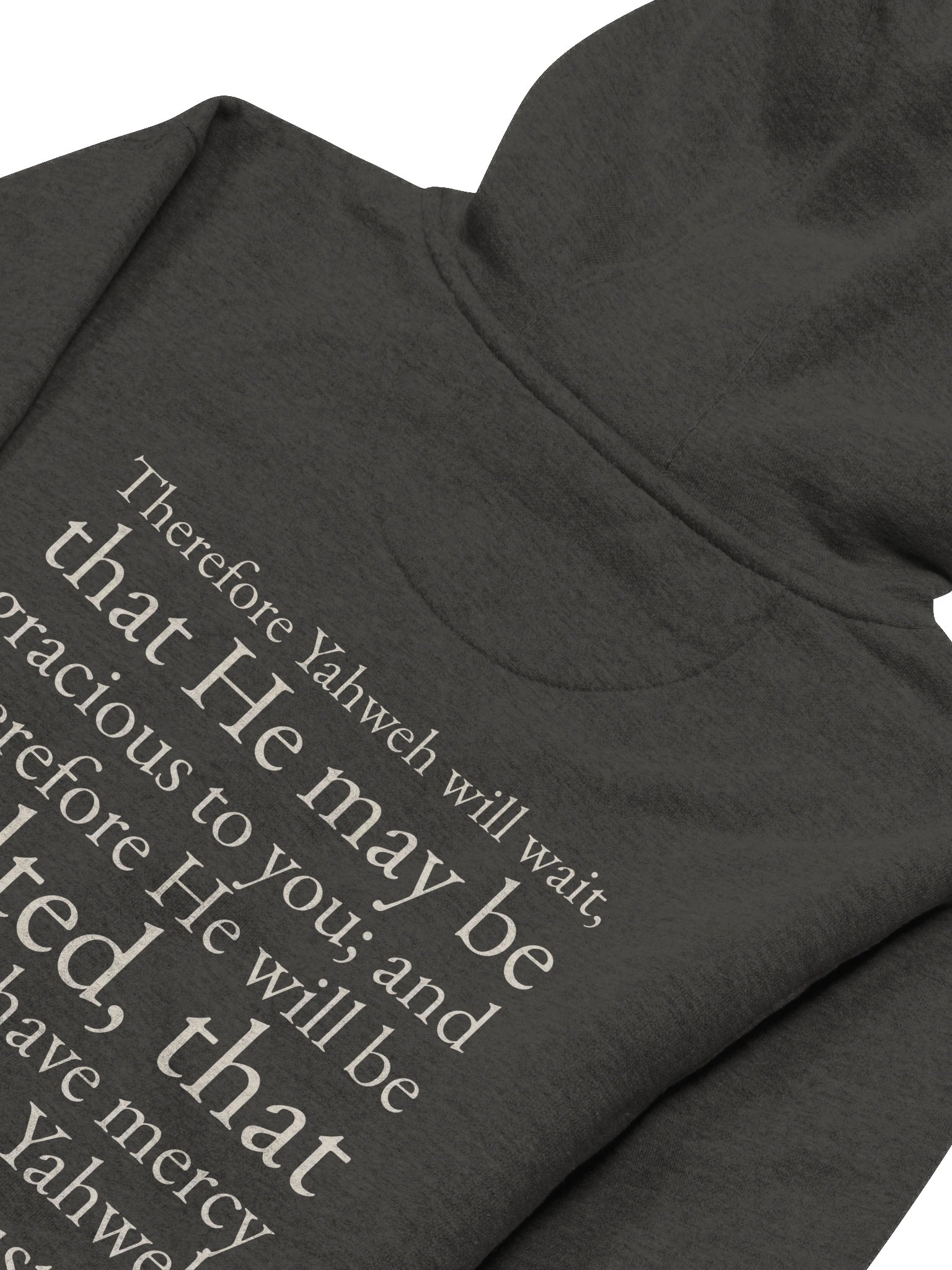 Grace in the Wilderness Hoodie – Isaiah 30:18 \| By Grace Capsule product image (4)