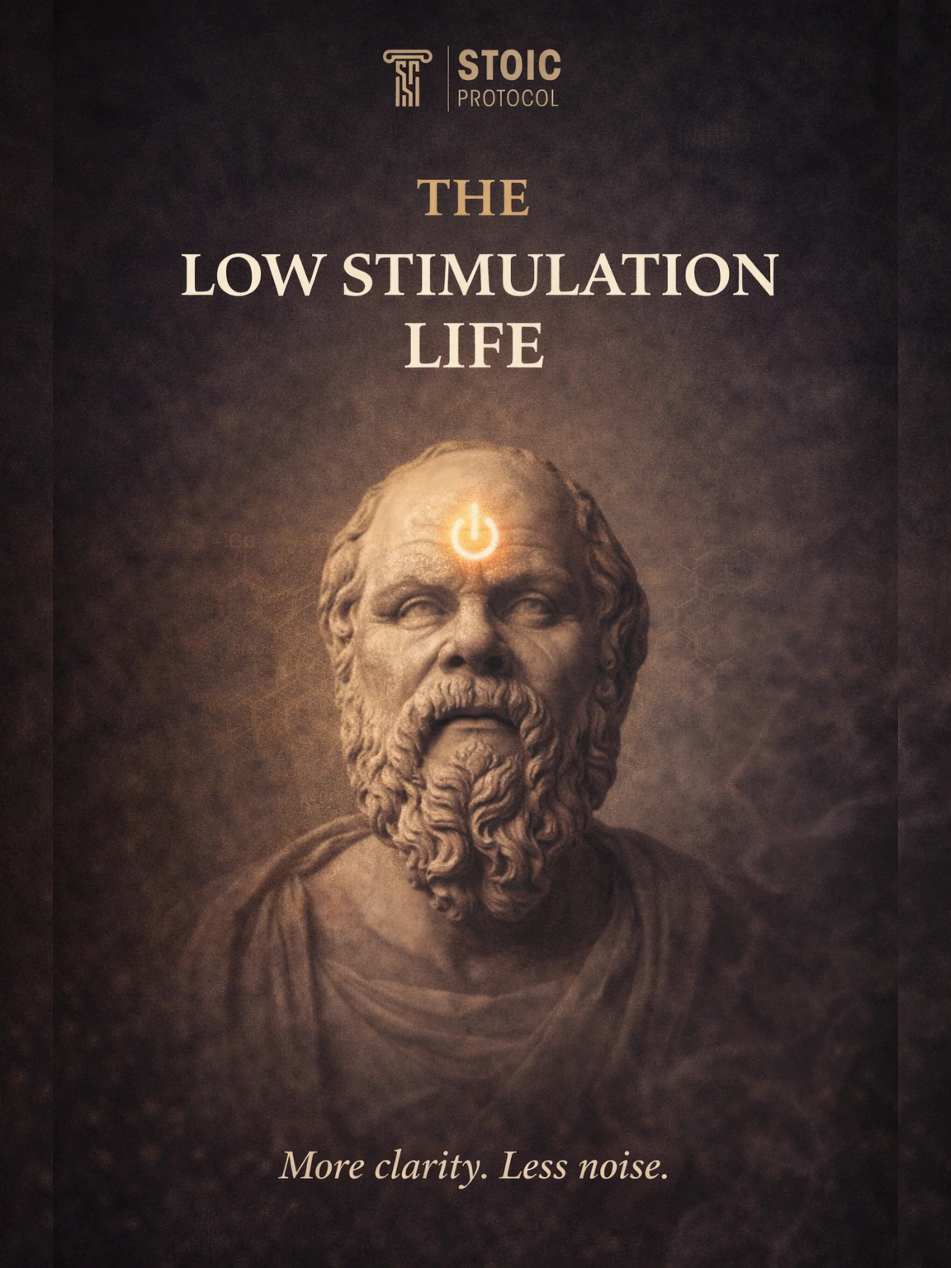 The Low Stimulation Life product image (1)