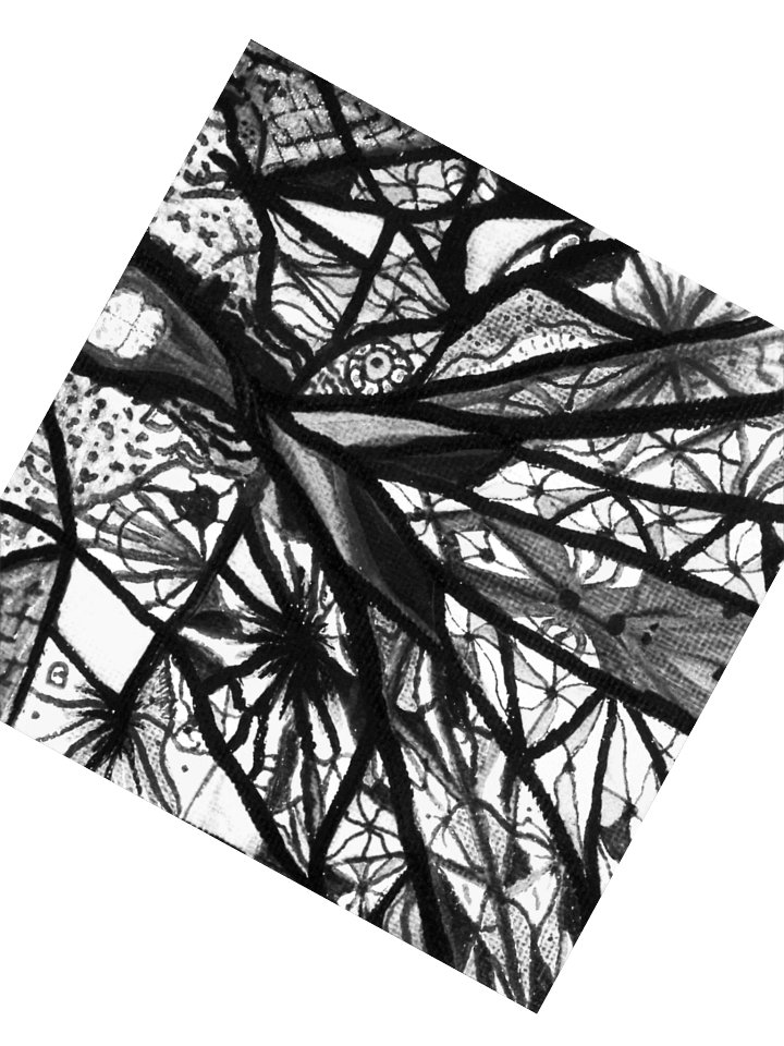 "bluebird" stickers (black & white) product image (3)