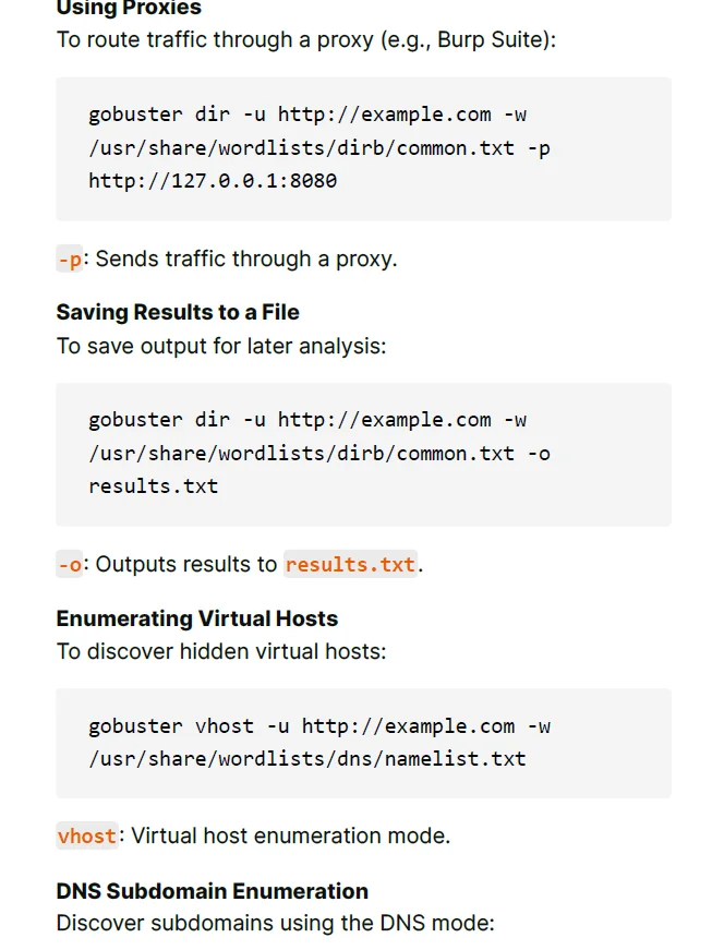 Web Hacking & Pentesting Study Notes product image (4)