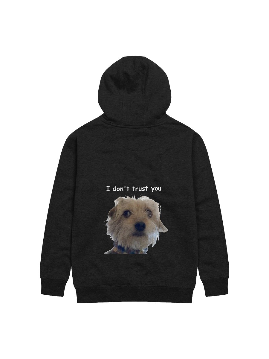 "I don't trust you" Hoodie product image (1)