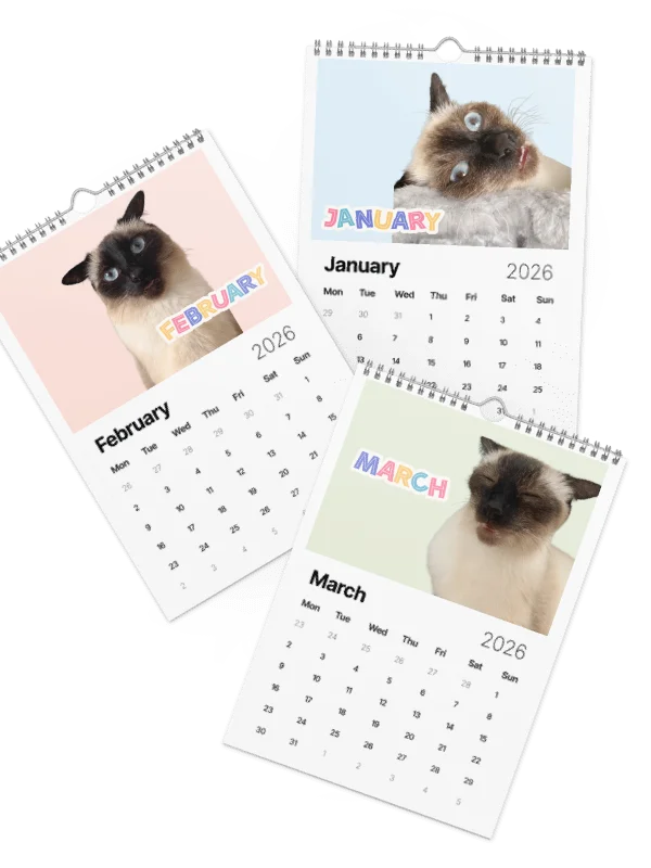 2026 Dobby Calendar product image (1)