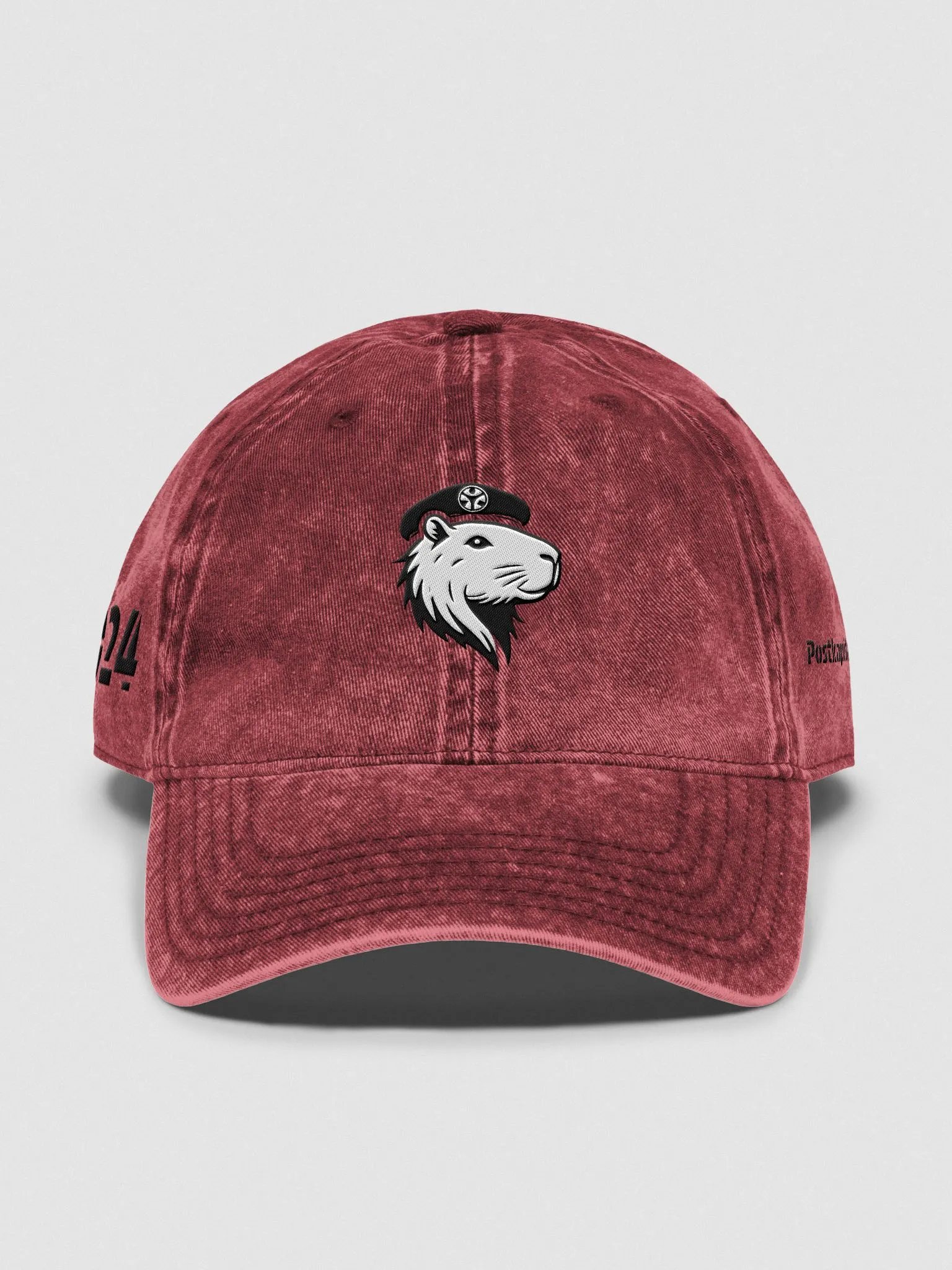 PoKa Symbio Vintage Wash Hat - 2024 product image (1)