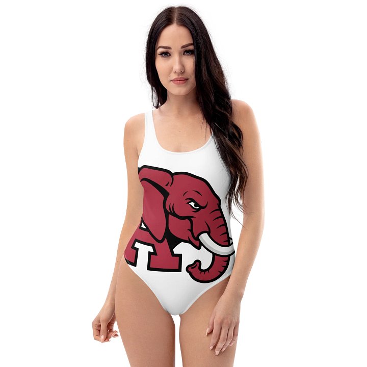 Bold Elephant A-Graphic Swimsuit product image (1)