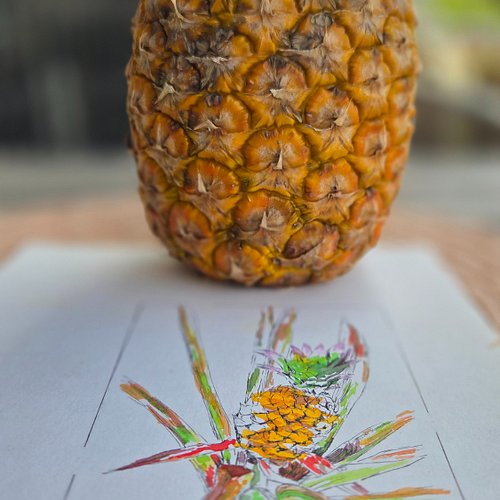 🎨 An artistic botanical profile: The Pineapple (lat. Ananas comosus)

📓 FROM THE SKETCHBOOK
Before a recipe even begins to be...