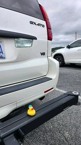 I got ducked by a confused Jeep People....please keep your Ducks to yourselves from now on!  I almost 🤢🤮 in public!
#thisoldy...