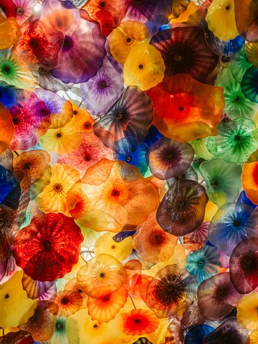 the ceiling in the bellagio- Fiori di Como (flowers of Como), created by world-renowned glass artist Dale Chihuly
