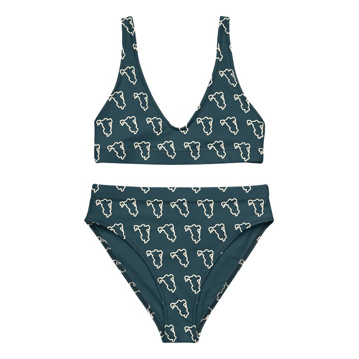 Lake Lines Recycled High-Waisted Bikini